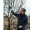 Аккумуляторный секатор Bosch Pro Pruner 06019K1021 3