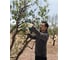 Аккумуляторный секатор Bosch Pro Pruner 06019K1021 5