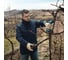 Аккумуляторный секатор Bosch Pro Pruner 06019K1021 9