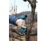Аккумуляторный секатор Bosch Pro Pruner 06019K1021 10