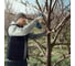 Аккумуляторный секатор Bosch Pro Pruner 06019K1021 12