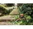Мотоножницы STIHL HS 82 T 30" 42370112986 2