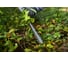 Кусторез Ryobi ONE+ RY18HT40A-115 5133005017 3