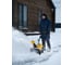 Бензиновая снегоуборочная машина Denzel SB 460 Sled, лыжи ручной старт 97648 18