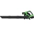 Воздуходув аккумуляторный TRUEGREEN 2х20 В без аккумулятора и ЗУ TG8A512 1