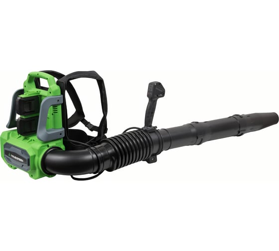 Воздуходув аккумуляторный ранцевый TRUEGREEN 4х20 В без аккумулятора и ЗУ TG8A522