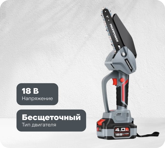 Аккумуляторная бесщеточная цепная пила Profipower MKGST-18V (Li-ion-2шт, 2.0Ач, 0-4500 об/мин, З/У, коробка) E0097