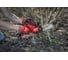 Аккумуляторная цепная садовая пила Milwaukee M12 FHS-0 FUEL 4933472211 21