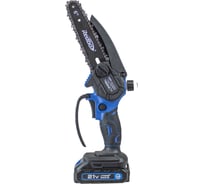 Мини-цепная пила аккумуляторная Redbo LNS-21/6 Combo 39134