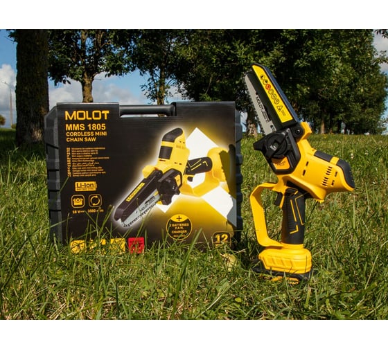 Аккумуляторная мини-пила MOLOT MMS 1805 XLT Lite SET 1334936
