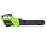 Воздуходувка аккумуляторная GreenWorks 40V, с 1 АКБ 4Ач и ЗУ 2408207USB4 3