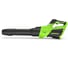 Воздуходувка аккумуляторная GreenWorks 40V, с 1 АКБ 4Ач и ЗУ 2408207USB4 5