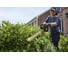 Кусторез Dewalt 54 В DCMHT573N-XJ 4