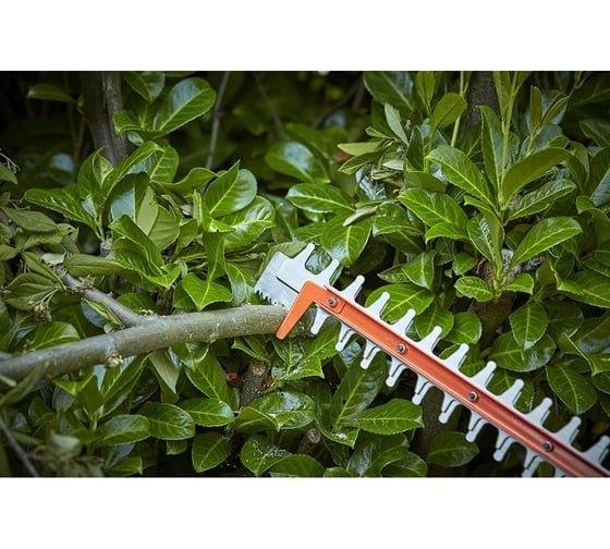 Аккумуляторный кусторез Black+Decker 36 В, 2.5 А*ч BCHTS3625L1-QW