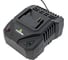Аккумуляторный кусторез с АКБ и ЗУ TRUEGREEN TG8A612W 17