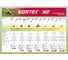 Триммер аккумуляторный WORTEX TB 3036 AT XLT SET ЦИ-0015370048 12
