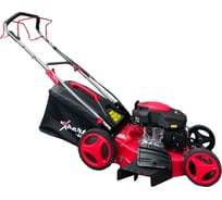 Газонокосилка бензиновая самоходная expert-bis L53SC 263941