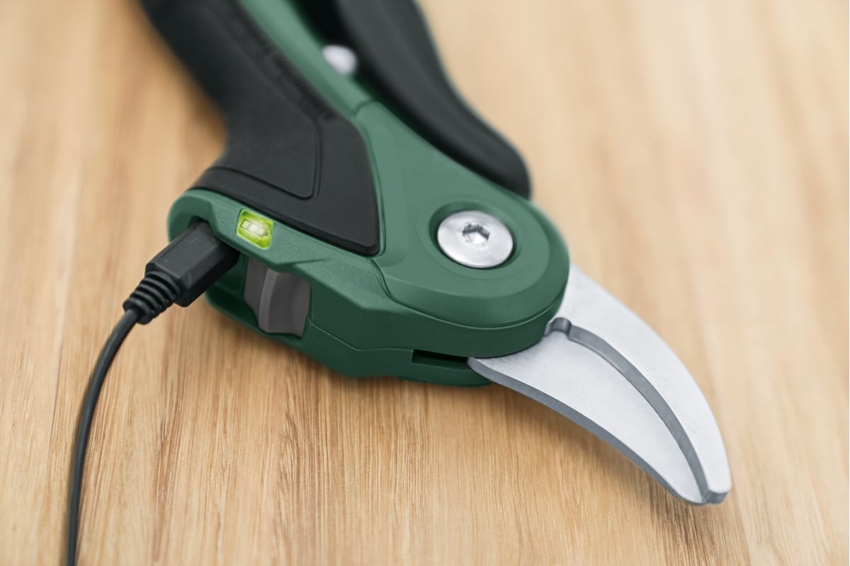 Аккумуляторный секатор Bosch EasyPrune 06008B2100 - выгодная цена ...