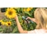 Аккумуляторный секатор Bosch EasyPrune 06008B2100 10
