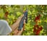 Аккумуляторный секатор Gardena AssistCut 12222-20.000.00 7