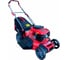 Самоходная бензиновая газонокосилка Expert-bis L53S 263236 1