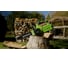 Цепная аккумуляторная пила GreenWorks G40CS30II 40 В 2007807 4