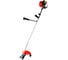 Мотокоса PROFI CG300B 1