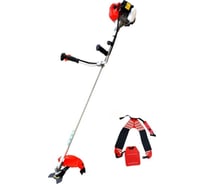 Мотокоса PROFI CG350B