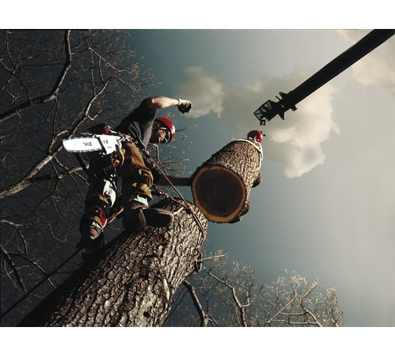 Бензопила Stihl MS 361 18" 11352000519