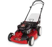 Бензиновая самоходная газонокосилка TORO 20331С 30509