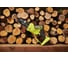Бесщеточная цепная пила Ryobi ONE+ 18В RY18PSX15A-120 15 см 5133005780 9