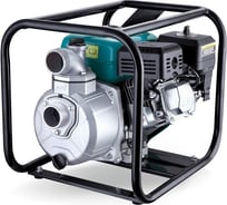 Мотопомпа LEO LGP 20-A 15