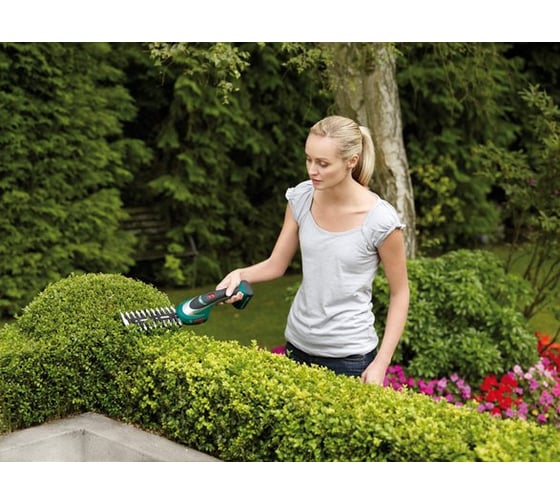 Аккумуляторные ножницы + кусторез Bosch ASB 10,8 LI Set 0.600.856.301