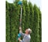 Аккумуляторные ножницы Gardena THS Li-18/42 08881-20.000.00 2