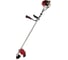 Бензиновый триммер DDE GBS430R 1
