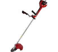 Бензиновый триммер DDE GBS5200R