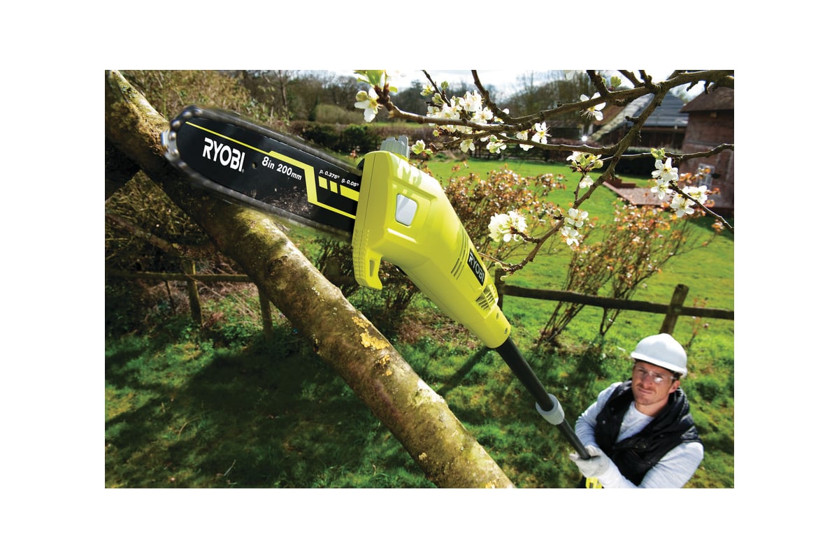 Штанговый сучкорез Ryobi RPP750S 5133002228 - выгодная цена, отзывы ...
