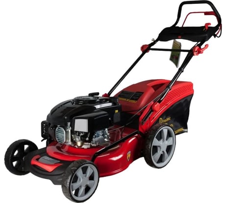 Бензиновая газонокосилка DDE WYZ18H8-WD65-B01