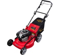Бензиновая газонокосилка DDE WYZ22H-BS70-B