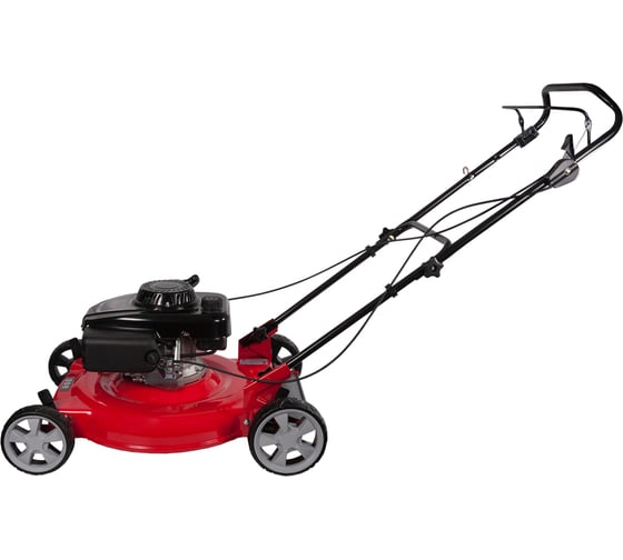 Бензиновая газонокосилка DDE WYS21-WD65-B