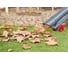 Электрическая воздуходувка SKIL F0150795RA 3