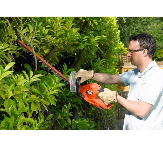 Садовый кусторез Black+Decker GT6060