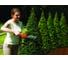 Аккумуляторные ножницы для травы и кустов Black+Decker GSL300 3
