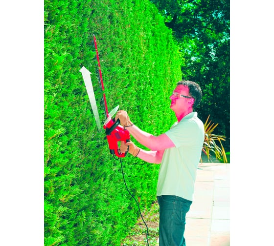 Садовый кусторез Black+Decker GT5055
