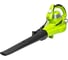 Электрический садовый воздуходув-пылесос BL3000 220 В 3000 Вт GreenWorks 2406507 5