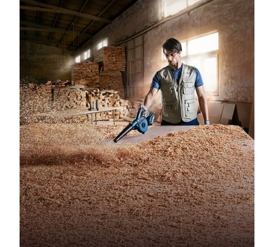 Аккумуляторная воздуходувка Bosch GBL 18V-120 Solo 0.601.9F5.100