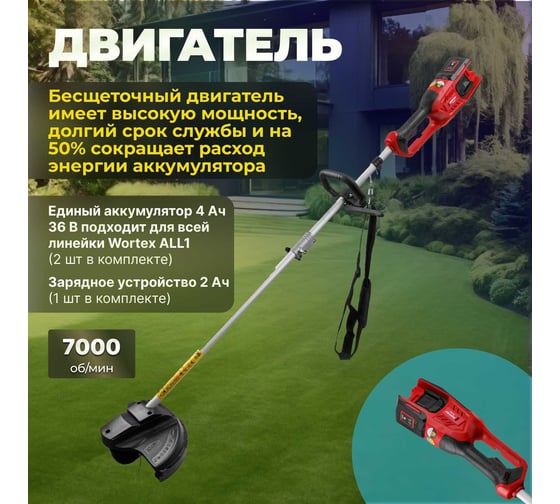 Аккумуляторный триммер WORTEX TB 3036 ALL1 0333291