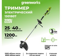 Электрический триммер Greenworks GST1246 1200W, 45 см, 1301807