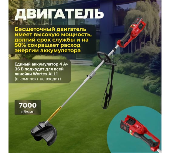 Аккумуляторный триммер WORTEX TB 3036 ALL1 0333290
