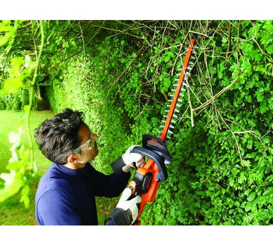 Аккумуляторный кусторез Black+Decker GTC36552PC